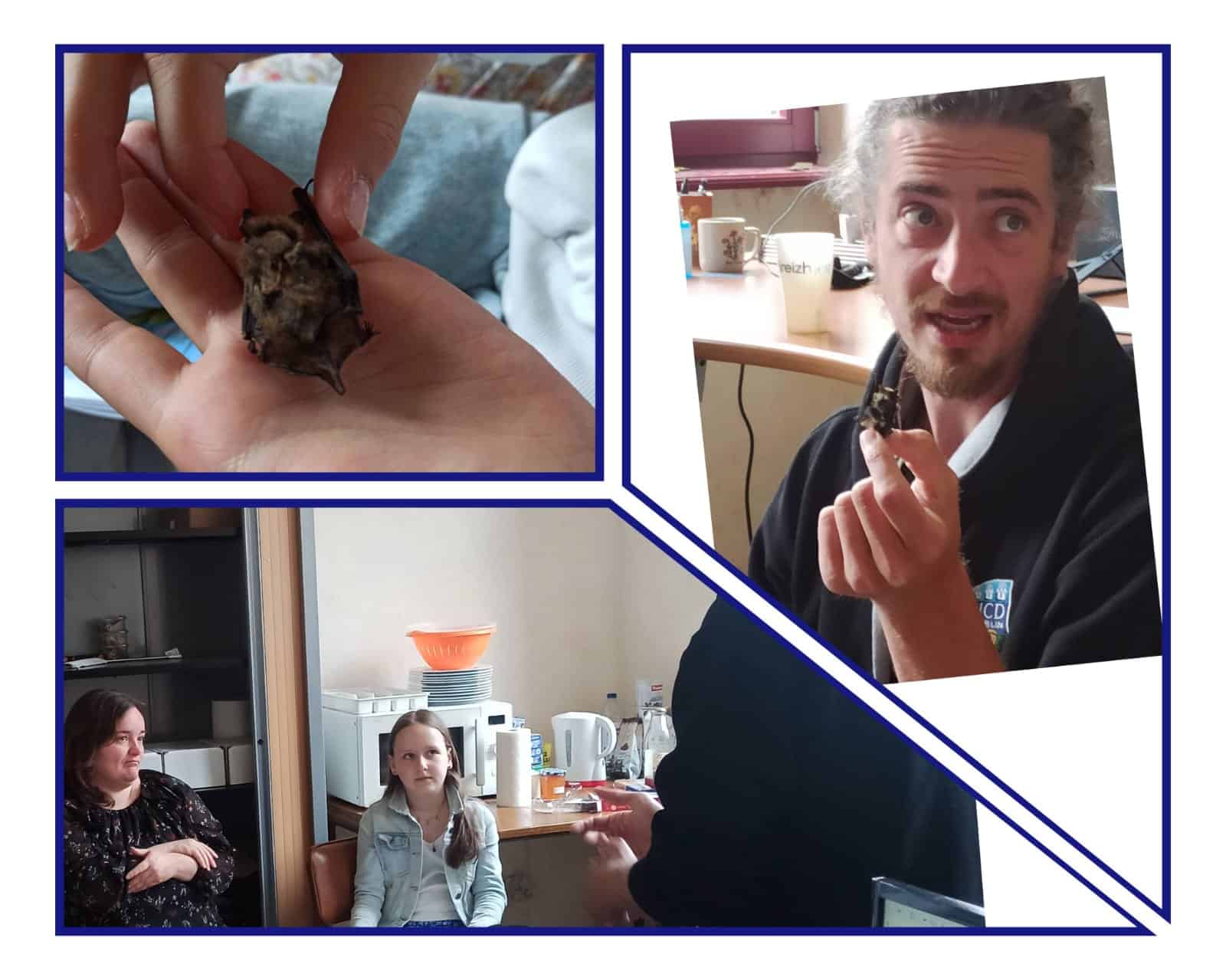 Interview de l'association CAWA